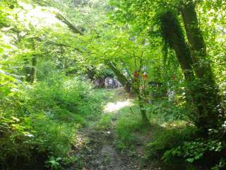 Rando Entre pierres sacrées et chemins creux à Lanvellec - Yvon